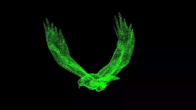 3D falcon rotates on black background. Object made of shimmering particles. Wild animals concept. Protection of the environment. For title, text, presentation. 3d animation 60 FPS