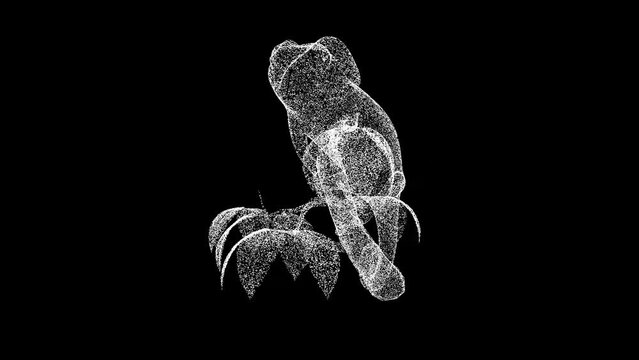 3D chameleon rotates on black background. Object made of shimmering particles. Wild animals concept. Protection of the environment. For title, text, presentation. 3d animation 60 FPS