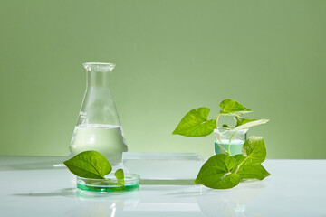 Concept of laboratory cosmetic with fish mint leaves with flask, petri dish and beaker filled with...