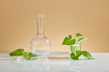 A flat-bottom florence flask, petri dish and a beaker are arranged with a rectangle podium. Using Fish mint (Houttuynia cordata) for acne treatment