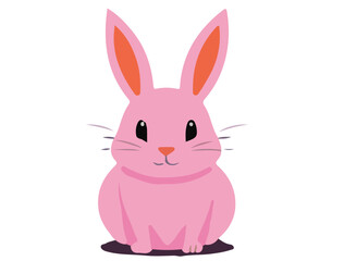 pink rabbit
