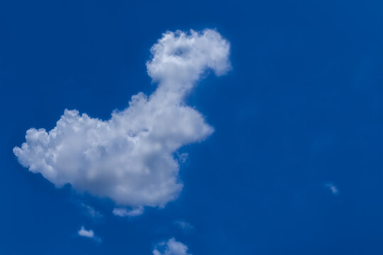 Animal cloud image, Fresh blue sky with floated white soft and fluffy clouds shown shaping like walking dinosaur (Tyrannosaurus Rex), Background for kid education or imagination learning for children.