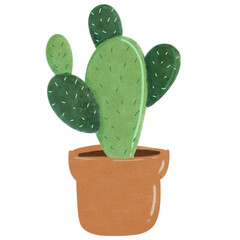 cactus in a pot