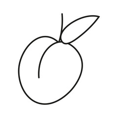 apricot icon. outline, line style.
