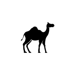 simple camel icon illustration, camel silhouette logo design