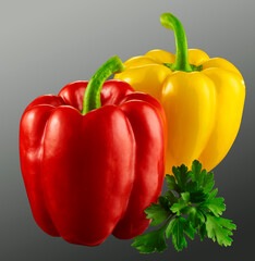 Paprika Rot und Gelb plus Petersilie
