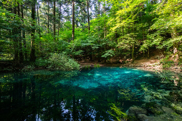 Ochiul Bei lake (Lacul Ochiul Beiului in Romanian language) beautiful wide angle landscape photo with this amazing landmark from Romania. Lake with turquoise water color.