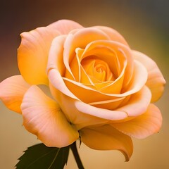 Yellow rose. Generative AI