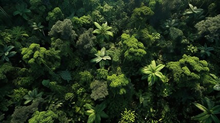 Vibrant Tapestry of a Green Rainforest from Aerial Heights, AI generated