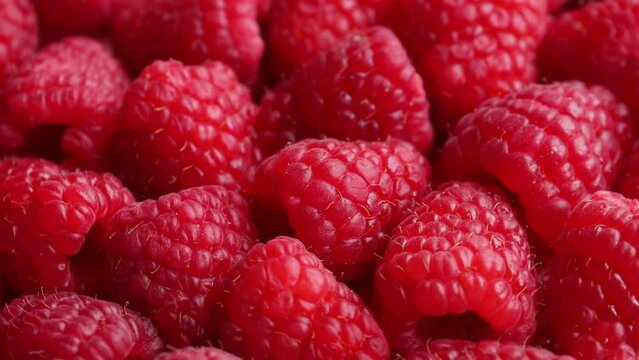 fresh raspberry, rotation in circle. baby red berry, Turning. selective focus. fruit and berry season	