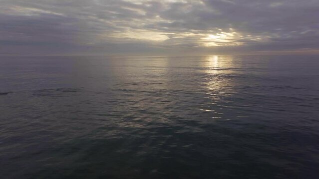 Africa drone aerial cinematic dolphins pod swimming sunrise sunset early morning ocean surf waves JBAY Jefferys Bay Indian Ocean deep aqua blue water cloudy golden sun to left movement