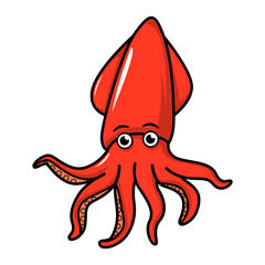 squid sea animal cartoon