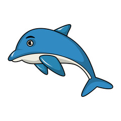dolphin sea animal cartoon