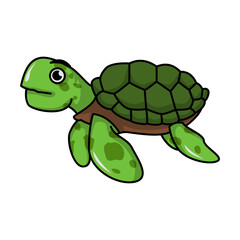 turtle sea animal cartoon