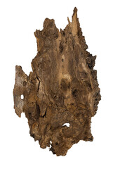 Texture tree bark on white isolated background, top view. Natural material, podium for product....