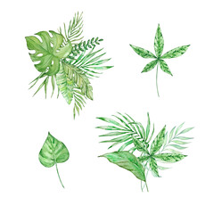 Watercolor bouquet of bright tropical leaves