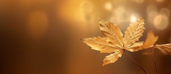 Beautiful autumn leaves background illustration
