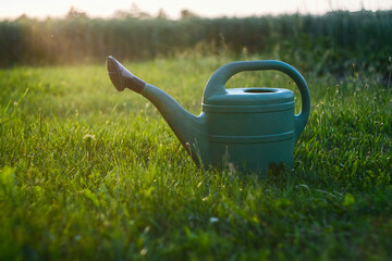 Green watering can on the grass.