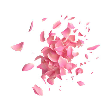 Pink sakura flower petals falling. Isolated transparent background. Generative AI.