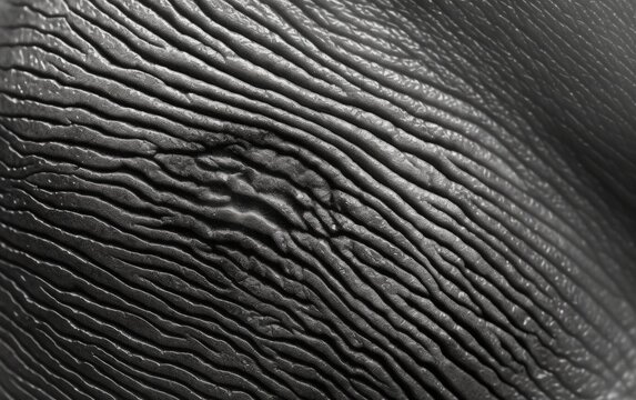 Close up of a finger texture.