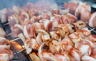 Fleischspieße mit Geflügelfleisch auf dem Grill