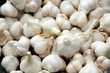 収穫されたニンニク