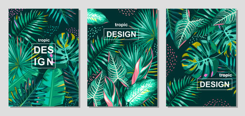 Set of templates with tropical leaves on a dark background. Colorful palm leaves, monstera, alocasia, banana, philodendron in cartoon style. A group of vertical covers with text. Vector. © Oksana_Skryp