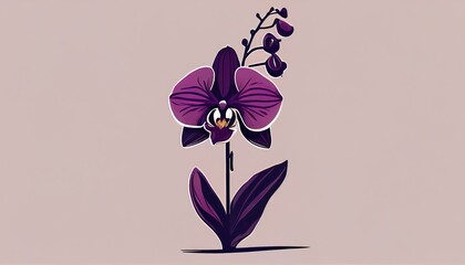 Simple minimalistic purple orchid flower illustration on a plain colorful background