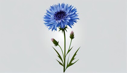 Simple blue minimalistic flower illustration on a plain colorful background