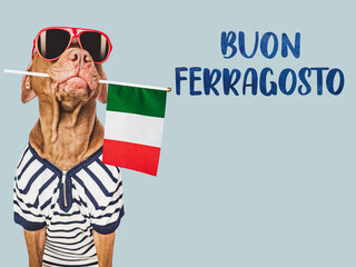 Buon Ferragosto - happy mid-August. Cute dog and Italian Flag. Closeup, indoors. Studio photo. Congratulations for family, loved ones, relatives, friends and colleagues. Pets care concept