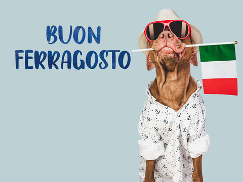 Buon Ferragosto - happy mid-August. Cute dog and Italian Flag. Closeup, indoors. Studio photo. Congratulations for family, loved ones, relatives, friends and colleagues. Pets care concept