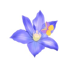 Purple lilly on white background with butterfly.