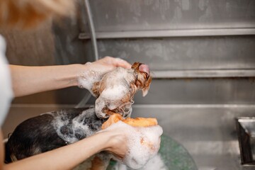 Fototapety na wymiar - Fototapeta24.pl