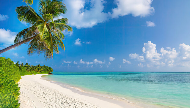 Beautiful tropical beach with white sand turquoise ocean on background blue sky clouds on sunny summer day green tree