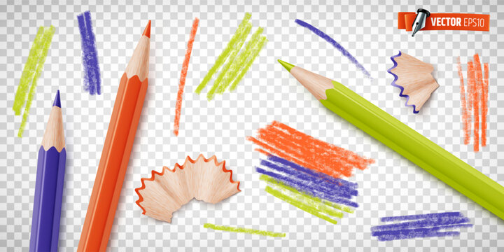 Vector realistic illustration of colored pencils on a transparent background.
