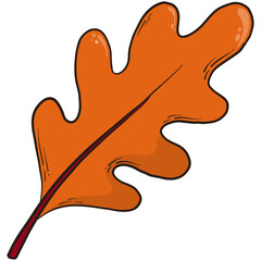 Hand drawn Autumn and Thanksgiving PNG oak leaf  cartoon element, doodle, clip art, print.