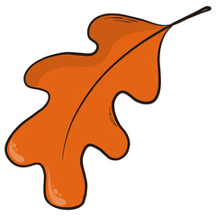 Hand drawn Autumn and Thanksgiving PNG orange oak leaf cartoon element, doodle, clip art, print.