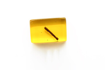 Amber with inclusion branch a white background. Sun stone. Fossil fossilized resin. semi-precious mineral. Natural material for jewelry. Copal. Science  Insects in amber stone. Bee