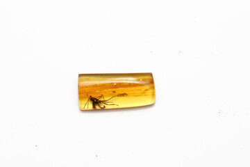 Amber with inclusion mosquito a white background. Sun stone. Fossil fossilized resin. semi-precious mineral. Natural material for jewelry. Copal. Science and geology. Insects in amber stone. Mosquito