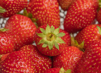 strawberries on a white background
