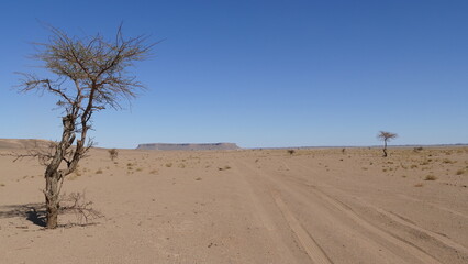 Westsahara als Sandwüste und Steinwüste