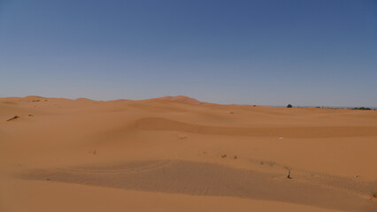 Fototapeta na wymiar Westsahara als Sandwüste und Steinwüste
