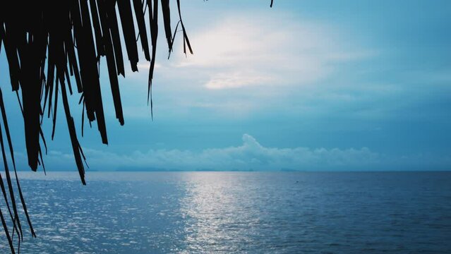 Calm windless seascape, azure sky and azure waves of sea shine with soft light from daytime summer sun. Palm leaves silhouette loom on azure seascape. Perfect paradise to relax rest and unwind.
