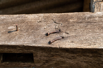 Rusty nails stuck in wood