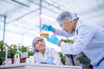 Junior scientists learn to observe color of solutions in test tubes with curiosity. Testing, experimenting, classifying, comparing, analyzing data from practical strawberry horticulture experience.