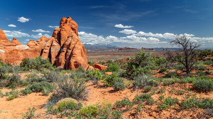 Arches Park,  Moab, Utah, USA