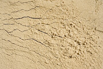 texture of the sand background.