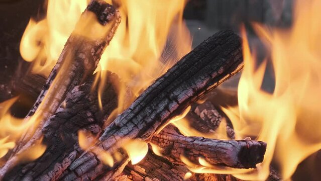 A bonfire enthralls with its crackling flames, casting a warm glow and filling the air with the scent of burning wood