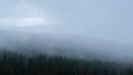 fog in the mountains