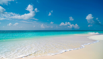Fototapeta premium beach with sand